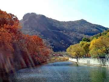 澳门二四六天天彩图库，苗山火灸贴